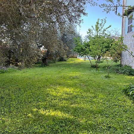 La Piccola Provenza Villa Fiano Romano Exteriör bild