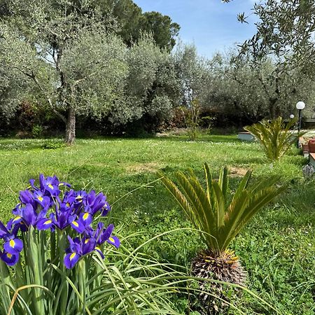 La Piccola Provenza Villa Fiano Romano Exteriör bild