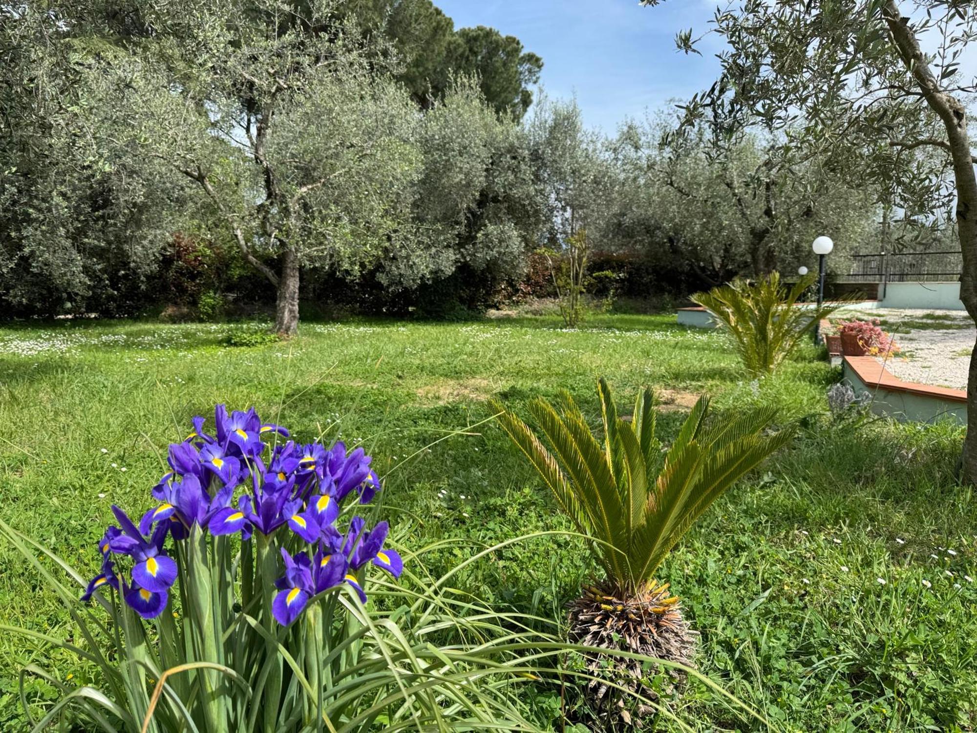La Piccola Provenza Villa Fiano Romano Exteriör bild
